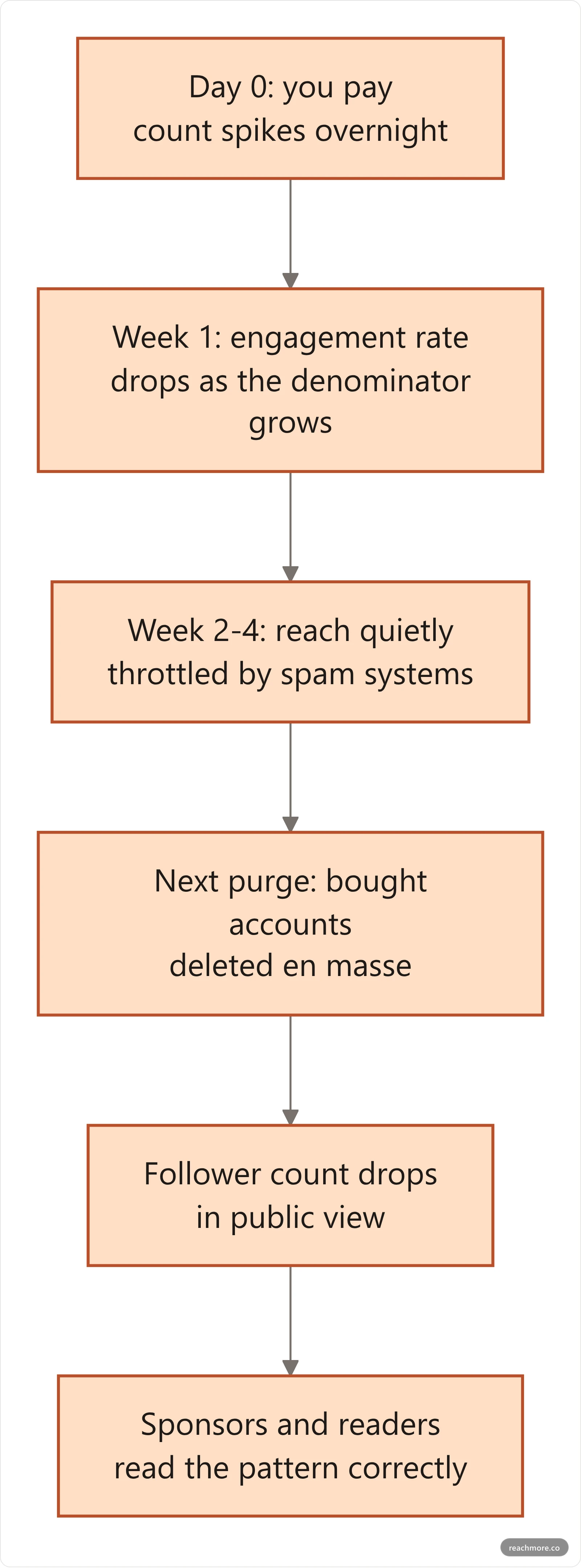 Timeline of what happens after buying X followers, from the instant count spike through the public drop at the next bot purge