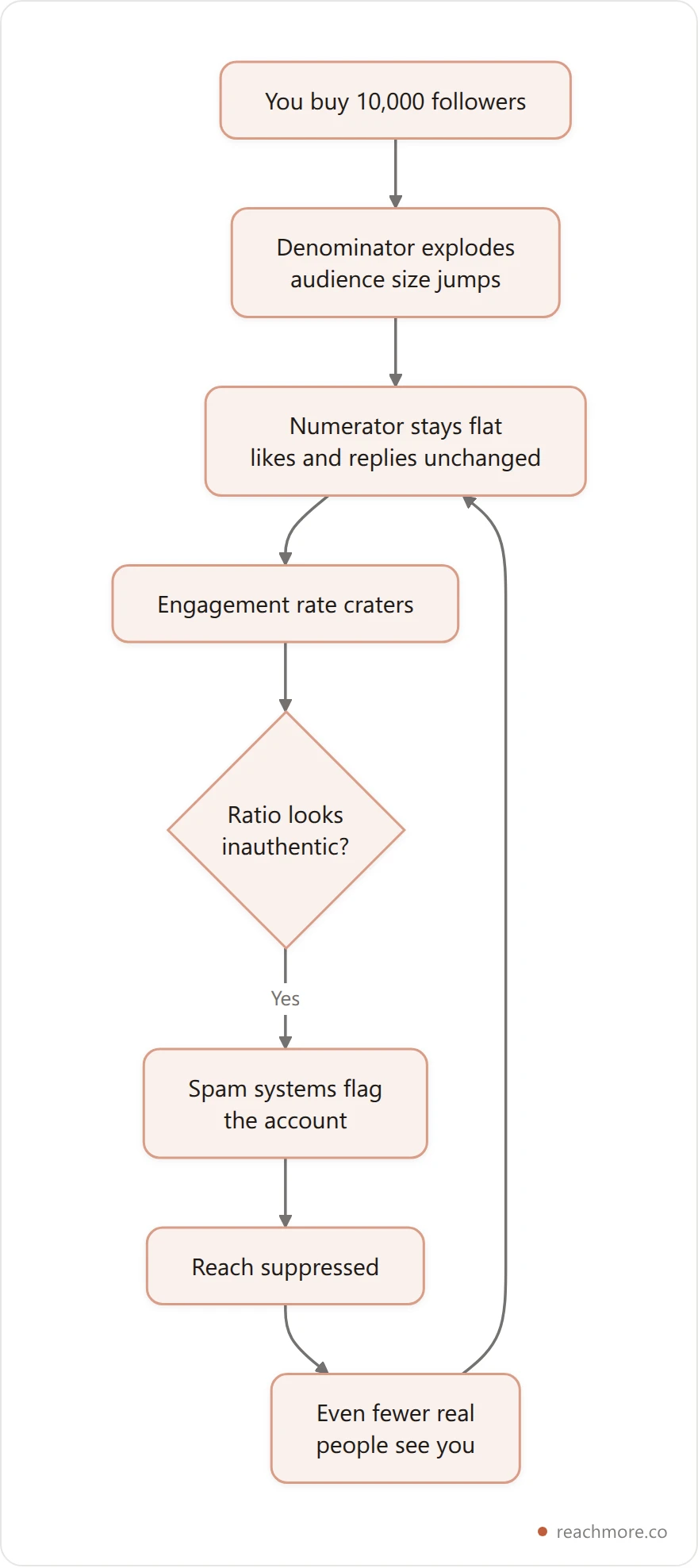Flowchart of the bought-follower death spiral, from inflated follower count to collapsed engagement rate to suppressed reach