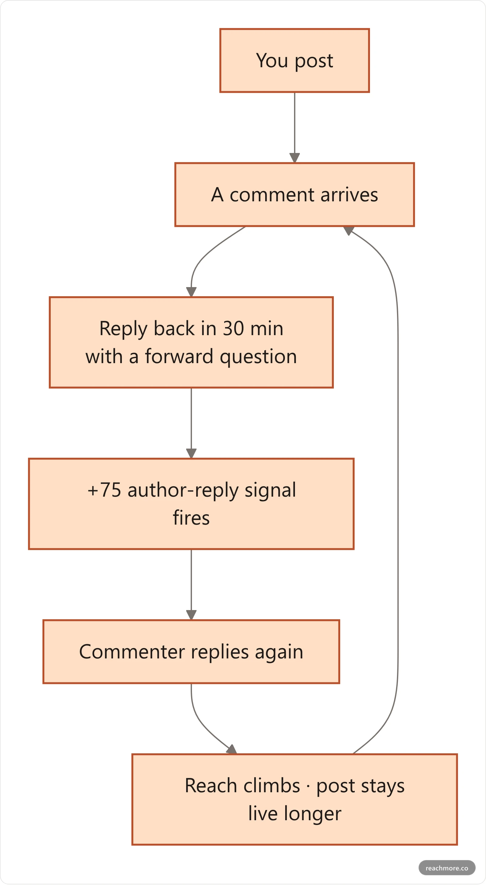 Flowchart of the Reply-Back Loop: you post, a comment arrives, you reply back within 30 minutes with a forward question, the +75 author-reply signal fires, the commenter replies again, reach climbs and the post stays live, which brings more comments