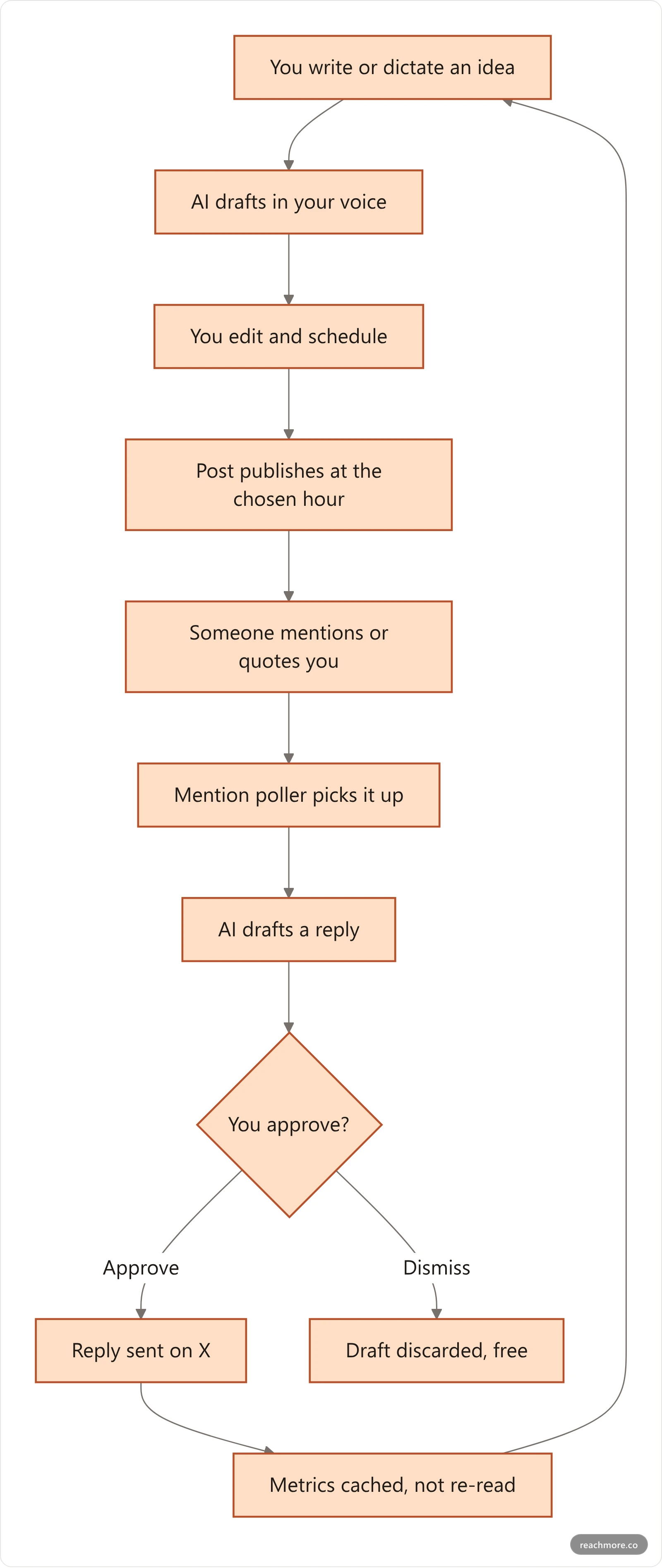 Flowchart of a permitted X automation loop where drafting and scheduling are automated but every outbound reply passes through human approval