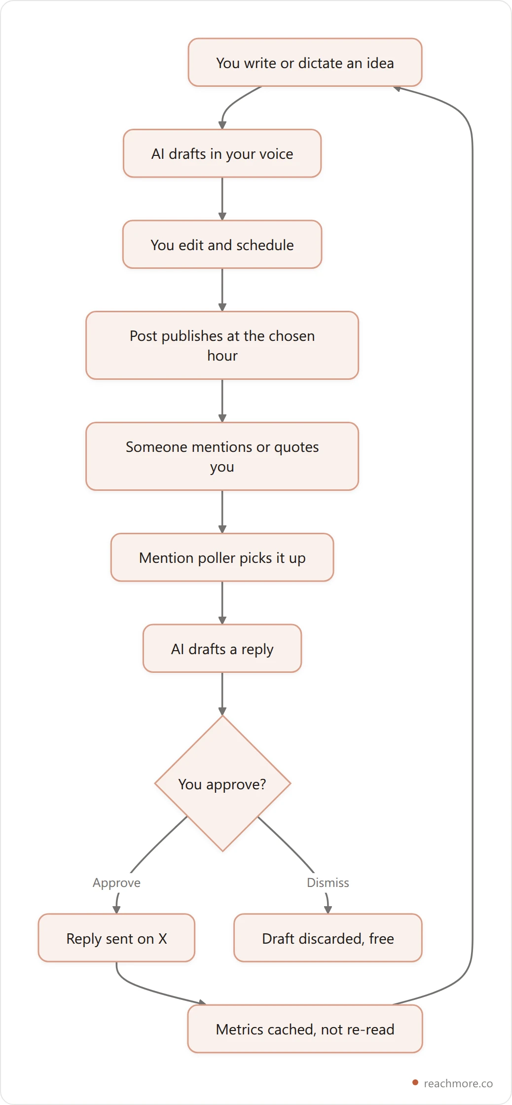 Flowchart of a permitted X automation loop where drafting and scheduling are automated but every outbound reply passes through human approval