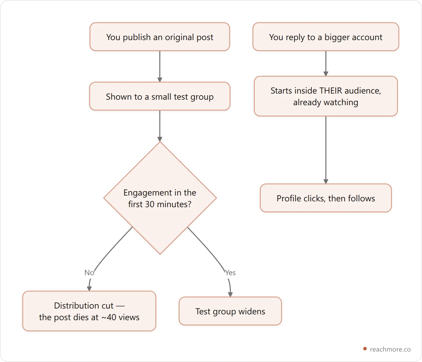 Flowchart contrasting two paths on X: an original post is shown to a small test group that must engage within the first 30 minutes or distribution is cut, while a reply starts inside the original poster's audience and leads to profile clicks and follows