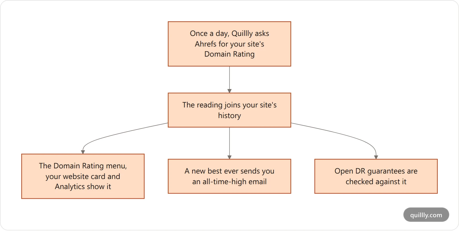 What happens to each daily Domain Rating reading: it joins the site's history, shows in the dashboard, can trigger an all-time-high email and is checked against open DR guarantees