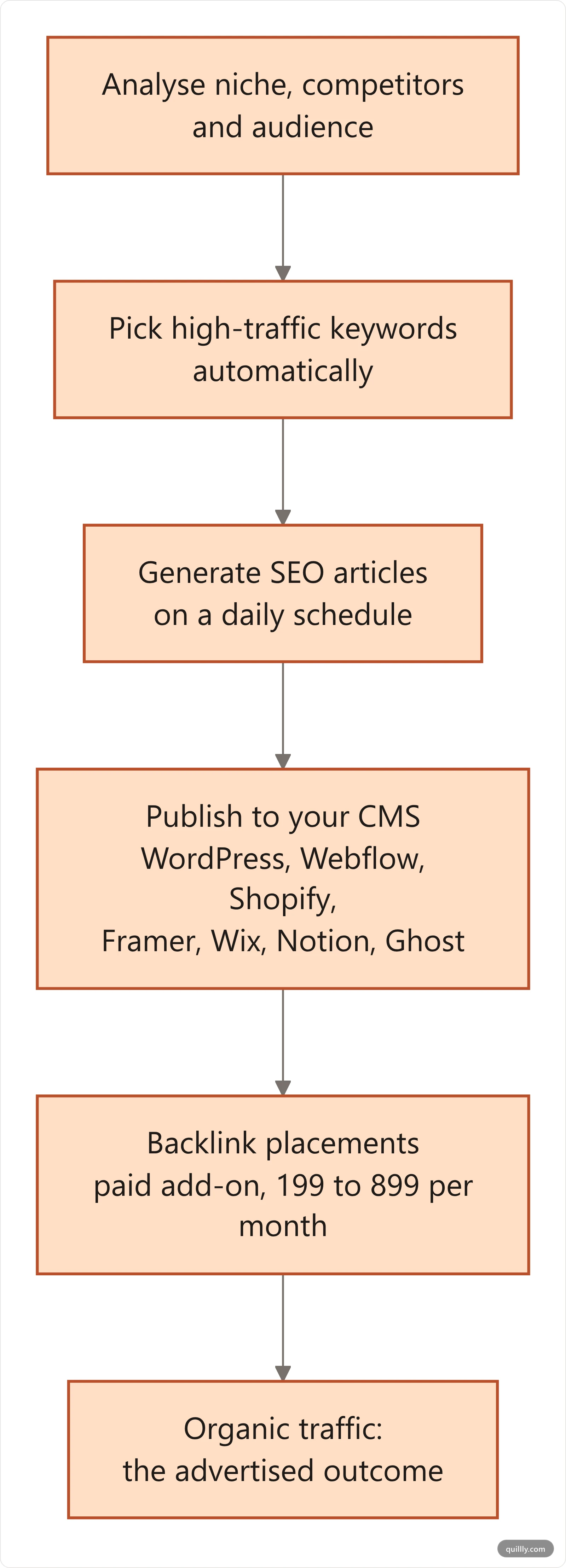 Vertical flowchart of the Outrank auto-pilot loop: analyse niche and competitors, pick keywords, generate articles daily, publish to your CMS, then backlinks as a paid add-on