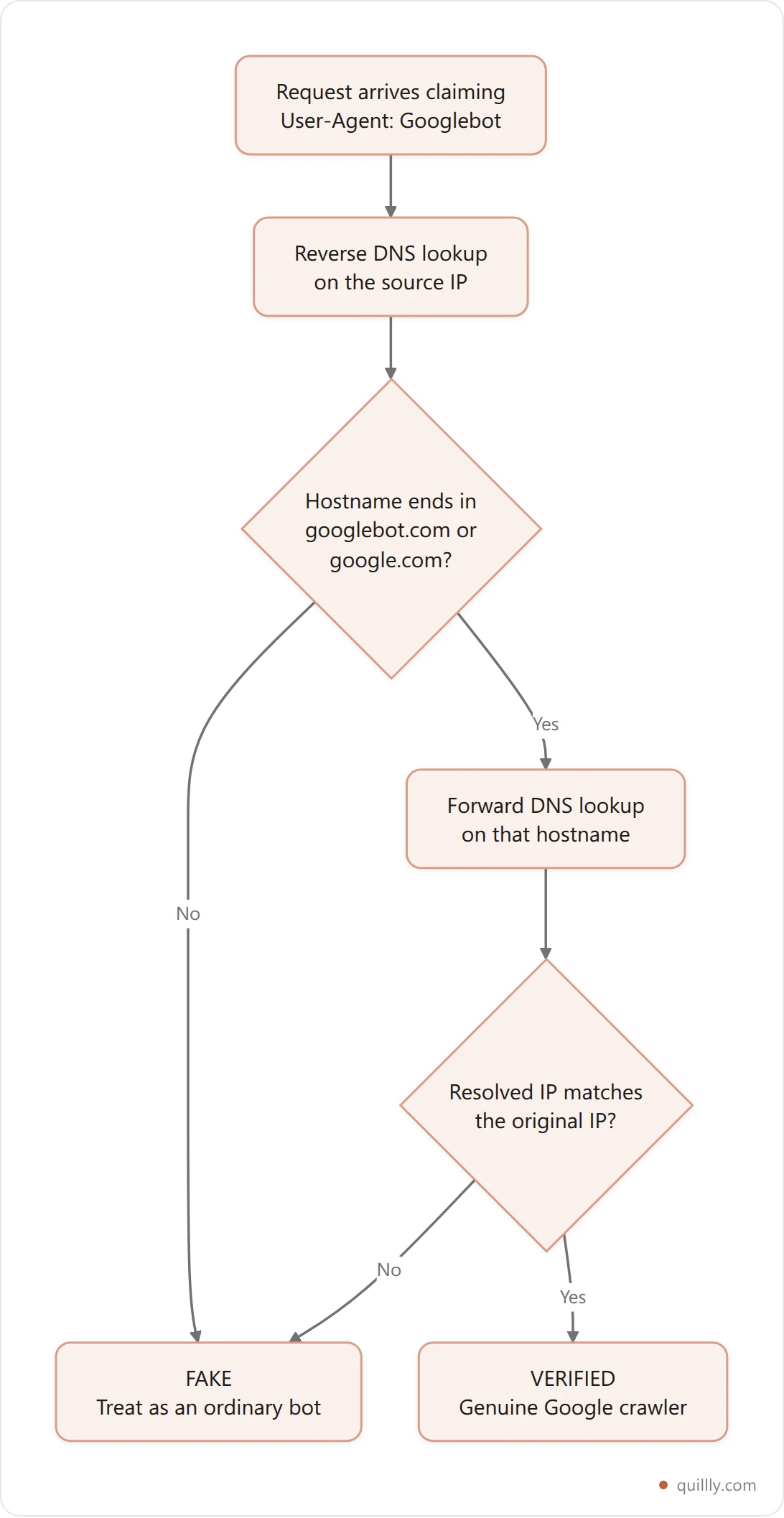 Flowchart of the two-step DNS verification for Googlebot: reverse lookup the IP, check the hostname suffix, forward lookup the hostname, then compare the result to the original IP