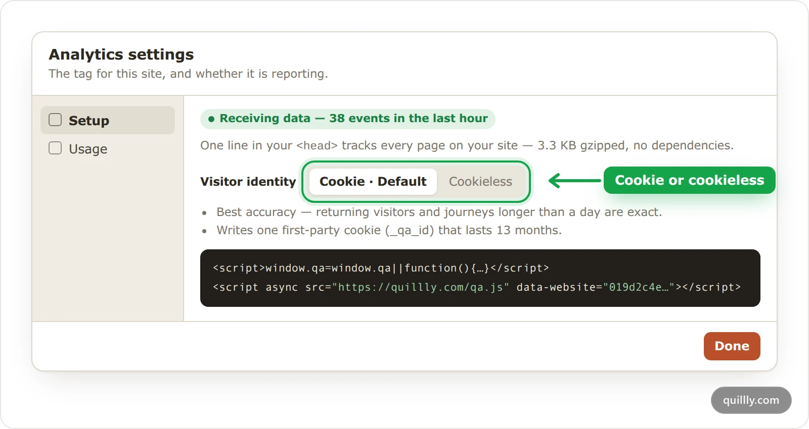 Analytics settings on the Setup pane, with the Visitor identity choice between Cookie and Cookieless highlighted.